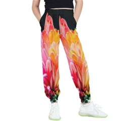 Abstract, Amoled, Back, Flower, Green Love, Orange, Pink, Kids  Joggers by nateshop