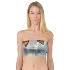 Aesthetic Butterfly , Butterflies, Nature, Bandeau Top by nateshop