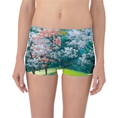 Anime Scenery Landscape Reversible Boyleg Bikini Bottoms