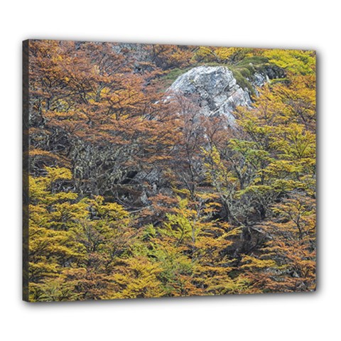 Wilderness Palette, Tierra Del Fuego Forest Landscape, Argentina Canvas 24  X 20  (stretched) by dflcprintsclothing