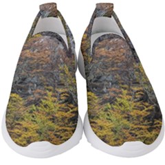 Wilderness Palette, Tierra Del Fuego Forest Landscape, Argentina Kids  Slip On Sneakers by dflcprintsclothing