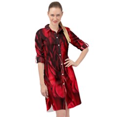 Followers,maroon,rose,roses Long Sleeve Mini Shirt Dress by nateshop