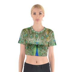 Peacock,army 1 Cotton Crop Top by nateshop