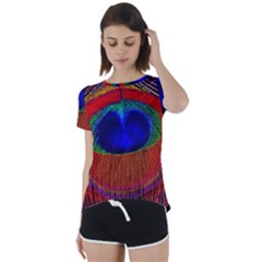 Peacock-feathers,blue 1 Short Sleeve Open Back T-shirt by nateshop