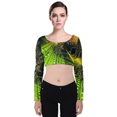 Machine Technology Circuit Electronic Computer Technics Detail Psychedelic Abstract Pattern Velvet Long Sleeve Crop Top