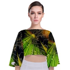 Machine Technology Circuit Electronic Computer Technics Detail Psychedelic Abstract Pattern Tie Back Butterfly Sleeve Chiffon Top