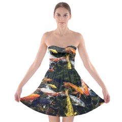 Koi Pond 3d Fish Strapless Bra Top Dress