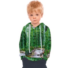 Bamboo Forest Squid Family Kids  Overhead Hoodie by Grandong