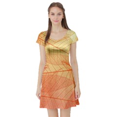 Abstract Texture Of Colorful Bright Pattern Transparent Leaves Orange And Yellow Color Short Sleeve Skater Dress by Grandong