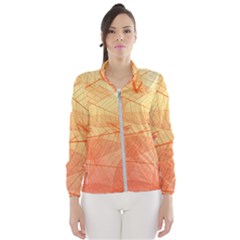 Abstract Texture Of Colorful Bright Pattern Transparent Leaves Orange And Yellow Color Women s Windbreaker by Grandong