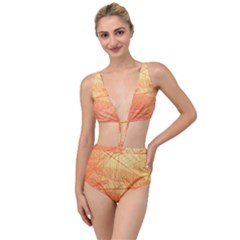 Abstract Texture Of Colorful Bright Pattern Transparent Leaves Orange And Yellow Color Tied Up Two Piece Swimsuit by Grandong