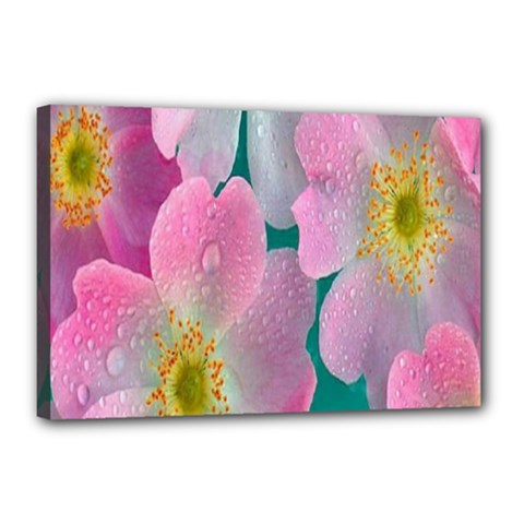 Pink Neon Flowers, Flower Canvas 18  X 12  (stretched) by nateshop