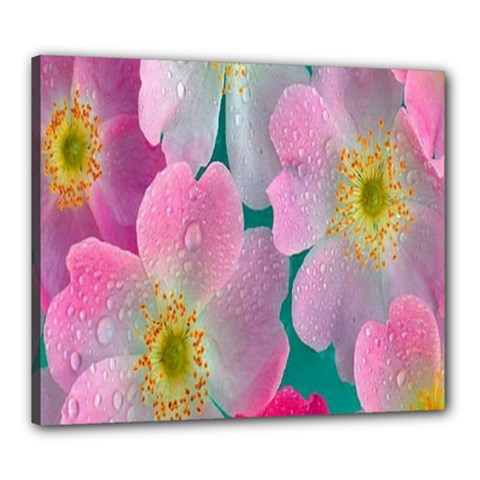 Pink Neon Flowers, Flower Canvas 24  X 20  (stretched) by nateshop