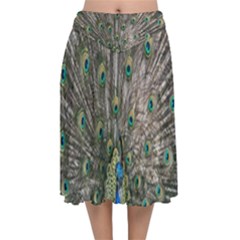 Peacock-feathers1 Velvet Flared Midi Skirt by nateshop