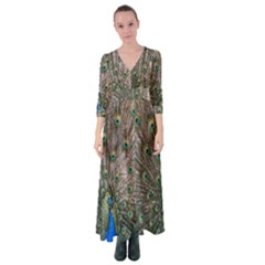 Peacock-feathers1 Button Up Maxi Dress by nateshop