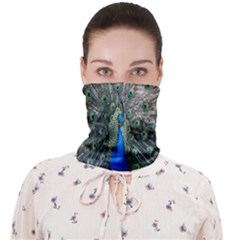 Peacock-feathers1 Face Covering Bandana (Adult)