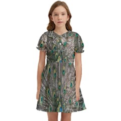 Peacock-feathers1 Kids  Bow Tie Puff Sleeve Dress by nateshop