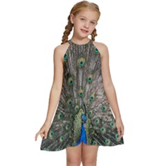 Peacock-feathers1 Kids  Halter Collar Waist Tie Chiffon Dress