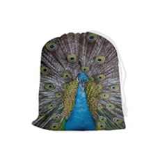 Peacock-feathers2 Drawstring Pouch (Large)