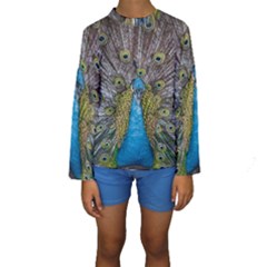 Peacock-feathers2 Kids  Long Sleeve Swimwear