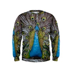 Peacock-feathers2 Kids  Sweatshirt by nateshop