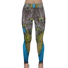 Peacock-feathers2 Classic Yoga Leggings by nateshop