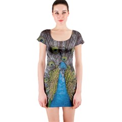 Peacock-feathers2 Short Sleeve Bodycon Dress