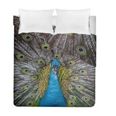 Peacock-feathers2 Duvet Cover Double Side (full/ Double Size) by nateshop