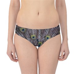 Peacock-feathers2 Hipster Bikini Bottoms by nateshop