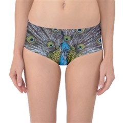 Peacock-feathers2 Mid-waist Bikini Bottoms by nateshop