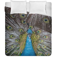 Peacock-feathers2 Duvet Cover Double Side (california King Size)