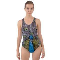 Peacock-feathers2 Cut-out Back One Piece Swimsuit by nateshop