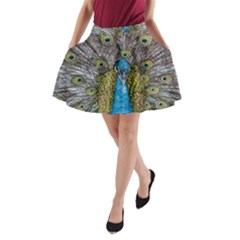 Peacock-feathers2 A-Line Pocket Skirt