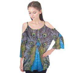 Peacock-feathers2 Flutter Sleeve T-Shirt 