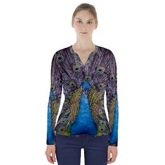 Peacock-feathers2 V-Neck Long Sleeve Top