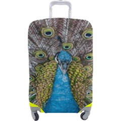 Peacock-feathers2 Luggage Cover (large) by nateshop