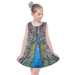 Peacock-feathers2 Kids  Summer Dress