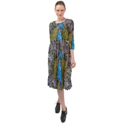 Peacock-feathers2 Ruffle End Midi Chiffon Dress