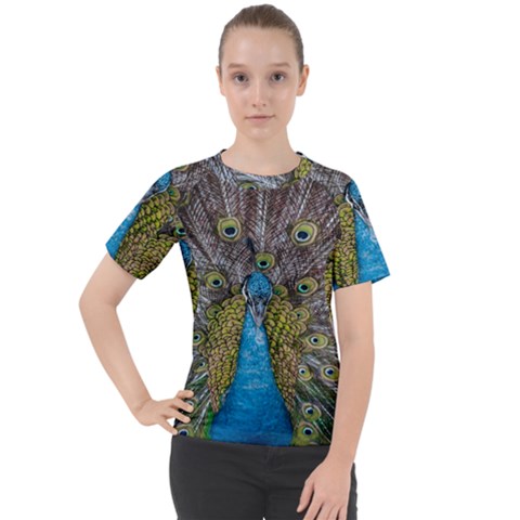 Peacock-feathers2 Women s Sport Raglan T-shirt by nateshop