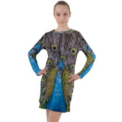 Peacock-feathers2 Long Sleeve Hoodie Dress