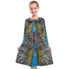 Peacock-feathers2 Kids  Midi Sailor Dress by nateshop