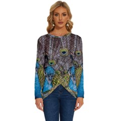 Peacock-feathers2 Long Sleeve Crew Neck Pullover Top