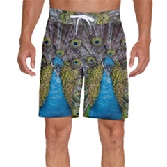 Peacock-feathers2 Men s Beach Shorts
