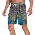 Peacock-feathers2 Men s Beach Shorts View2