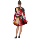 Fruits, Food, Green, Red, Strawberry, Yellow Long Sleeve Panel Dress View2