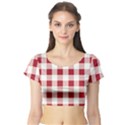 Gingham - 4096x4096px - 300dpi14 Short Sleeve Crop Top View1