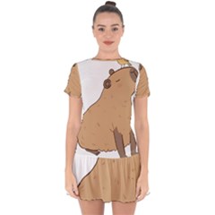 Capybara T- Shirt Cute Capybara Illustration With A Bird Friend T- Shirt Yoga Reflexion Pose T- Shirtyoga Reflexion Pose T- Shirt Drop Hem Mini Chiffon Dress by hizuto