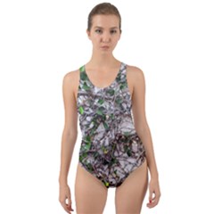 Climbing Plant At Outdoor Wall Cut-out Back One Piece Swimsuit by dflcprintsclothing