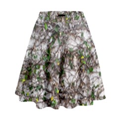 Climbing Plant At Outdoor Wall High Waist Skirt by dflcprintsclothing