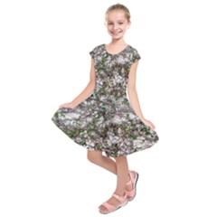 Climbing Plant At Outdoor Wall Kids  Short Sleeve Dress by dflcprintsclothing